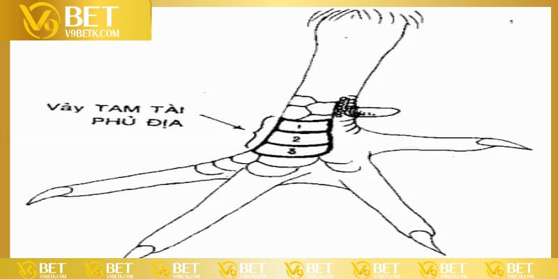 Phủ địa tam tài cực chiến