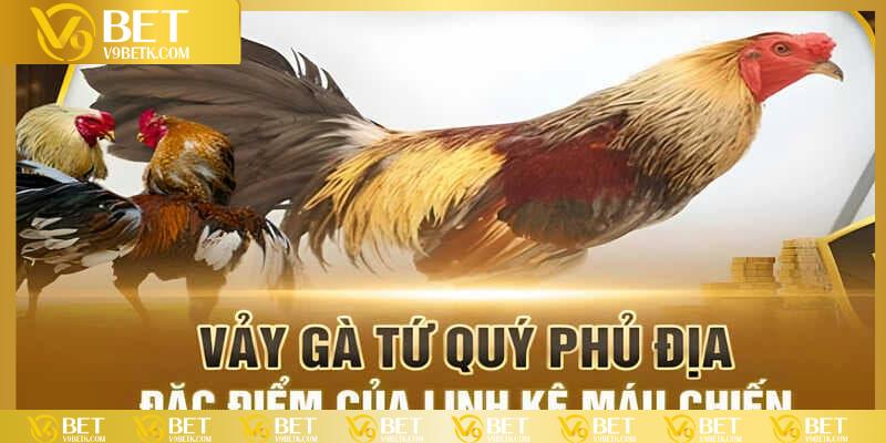 Nhận diện vảy tứ quý